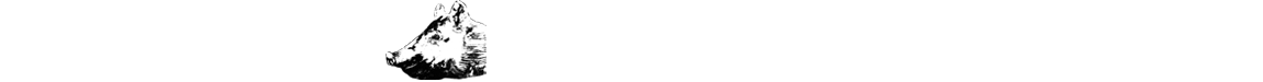 Kjærs Helstegt Pattegris